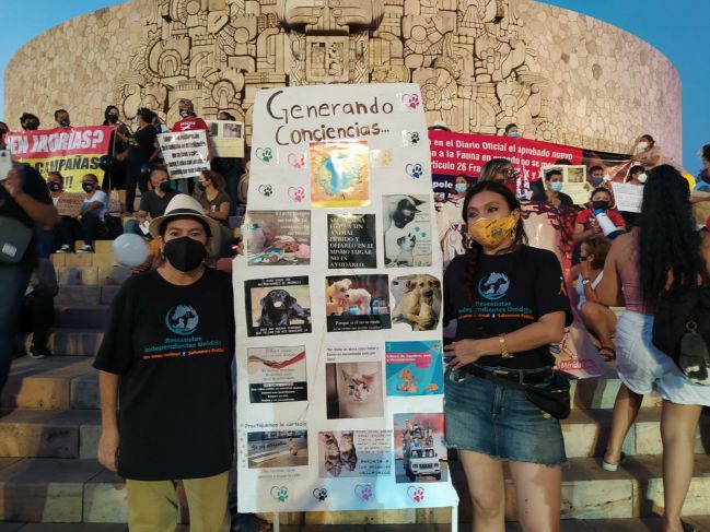 Animalistas hacen un llamado de unidad en el Monumento a la Patria